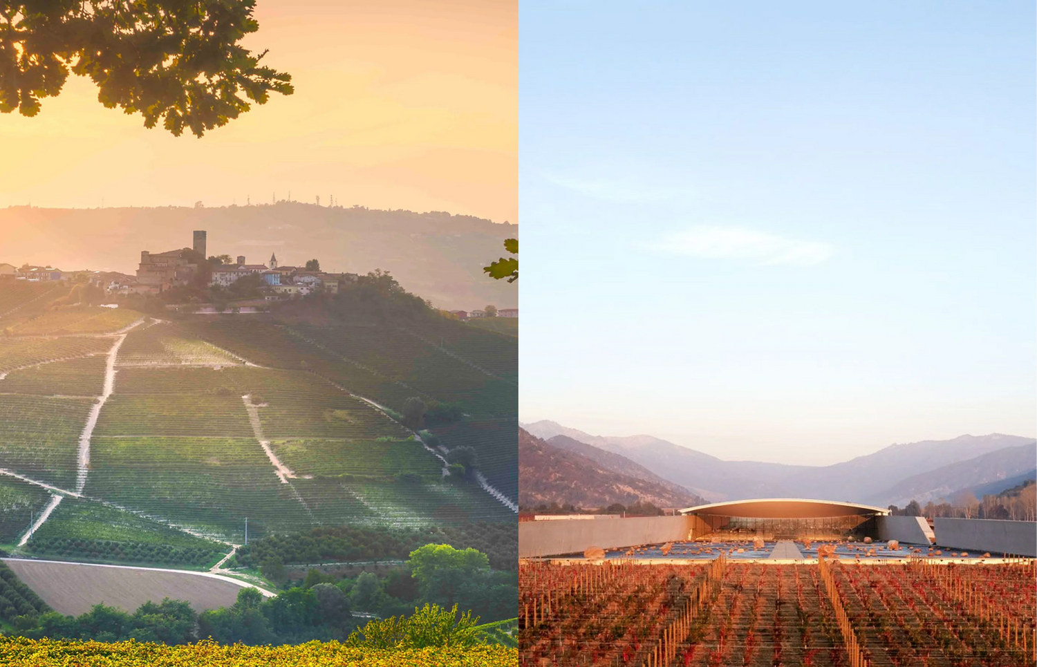Raravina: Old World vs. New World Wines