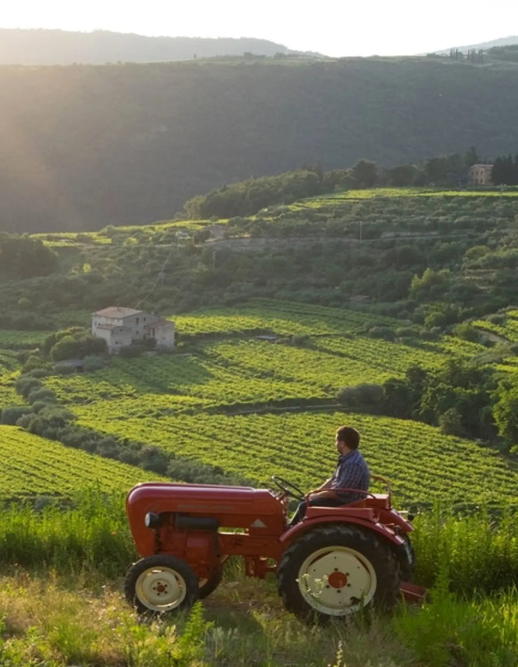 Cà De Maghi Vineyard
