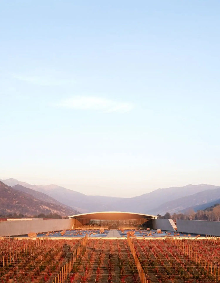 Milla Cala Winery