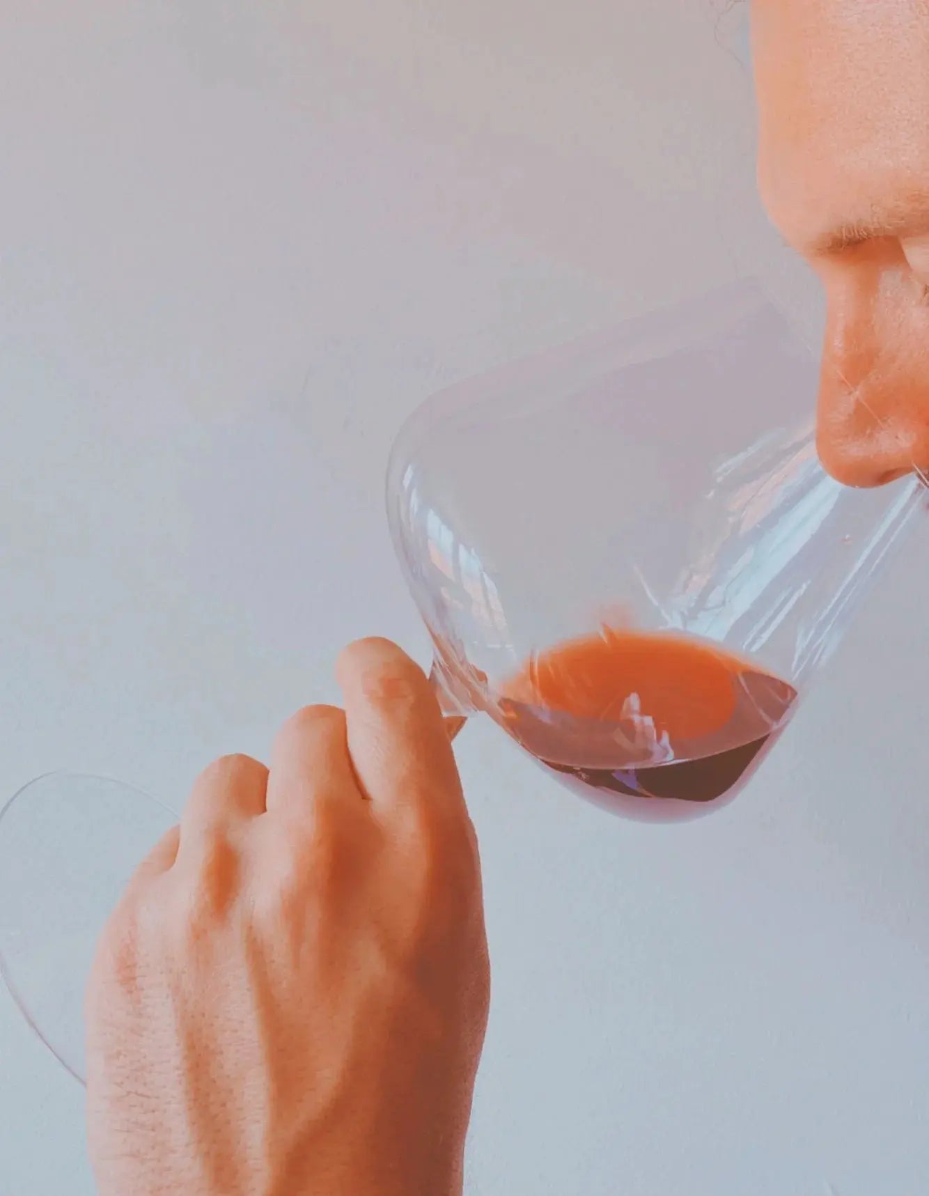 Common Wine Questions Answered | Raravina