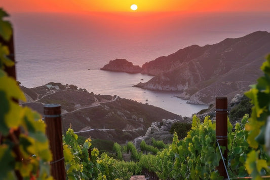 What Makes a Volcanic Wine — and Why It’s Having a Moment