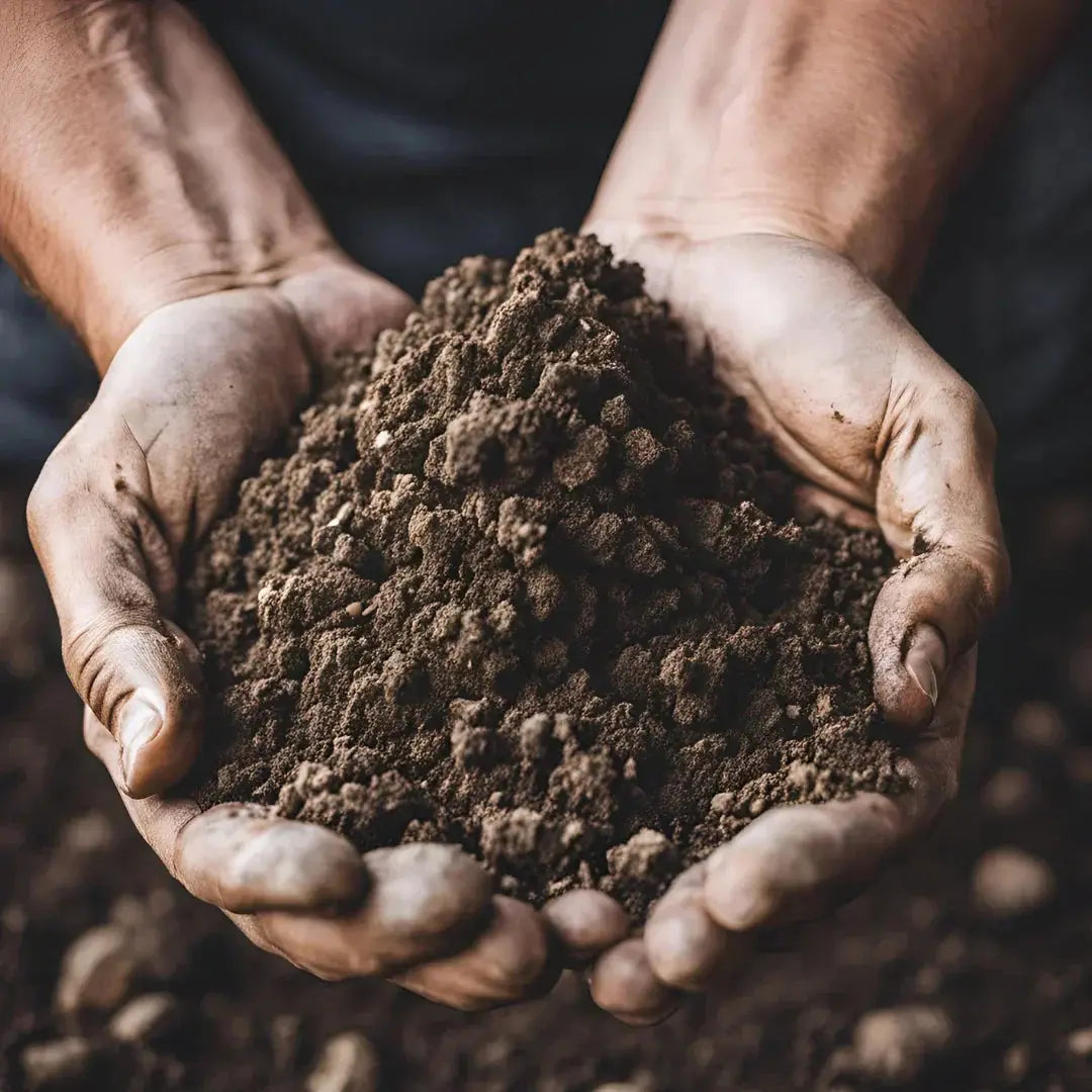 Mineral Notes in Wine | Raravina