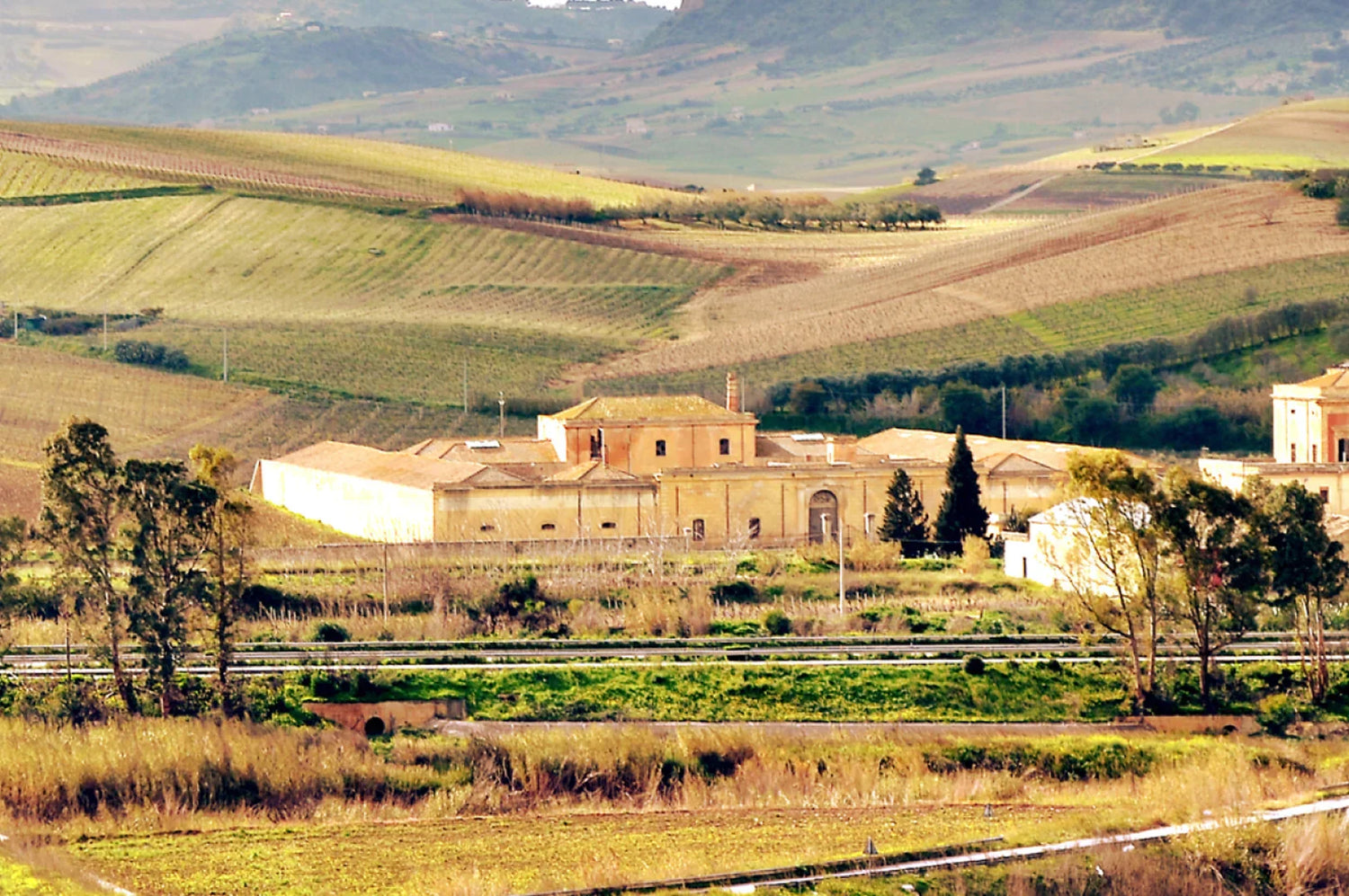 Adamo Winery