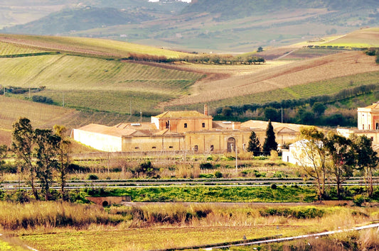 Adamo Winery