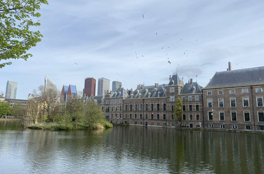 The Nosey Explorer: A Wine Lover’s Guide to The Hague