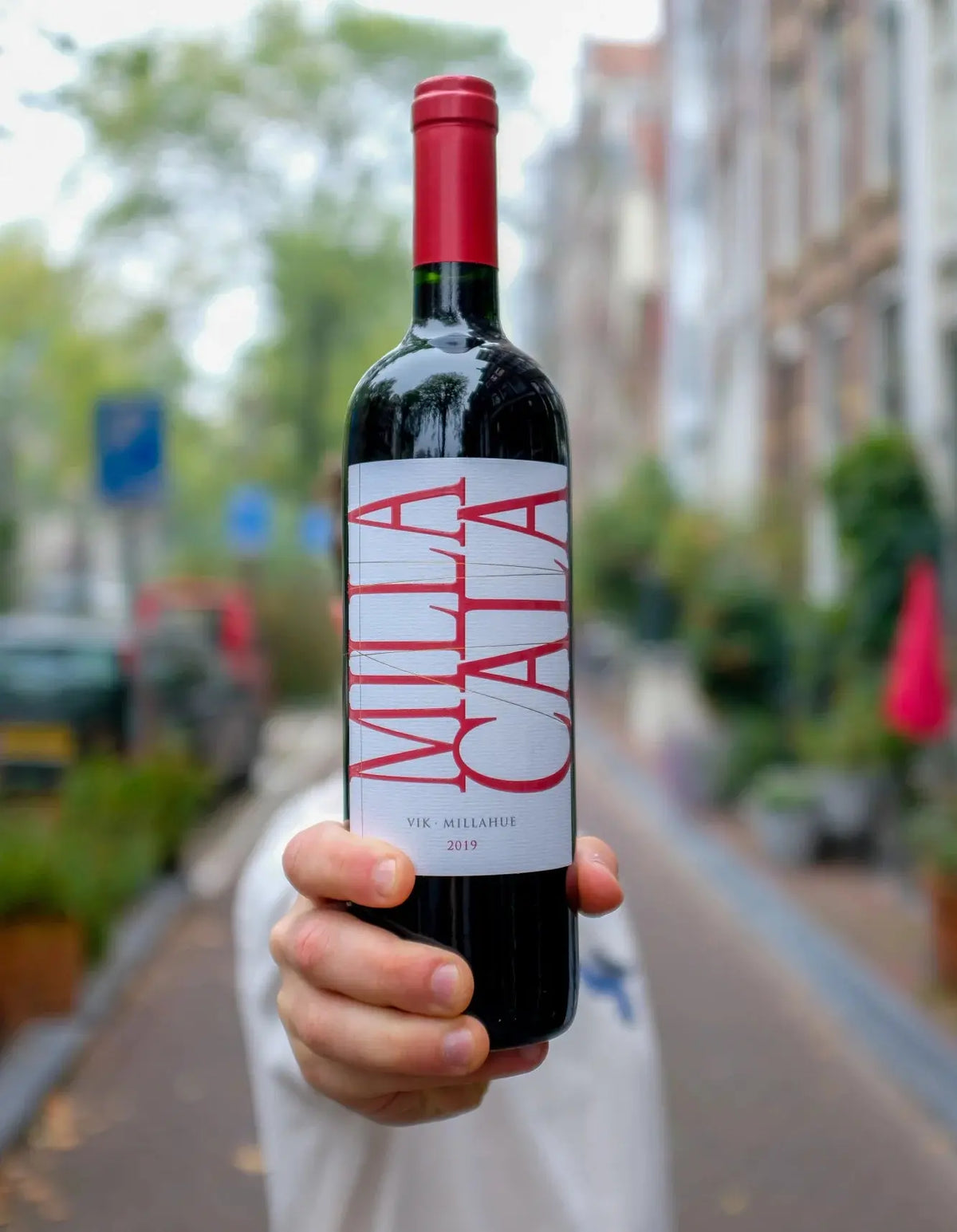 Milla Cala 2019 – Bold Red Blend from Viña Vik, Chile