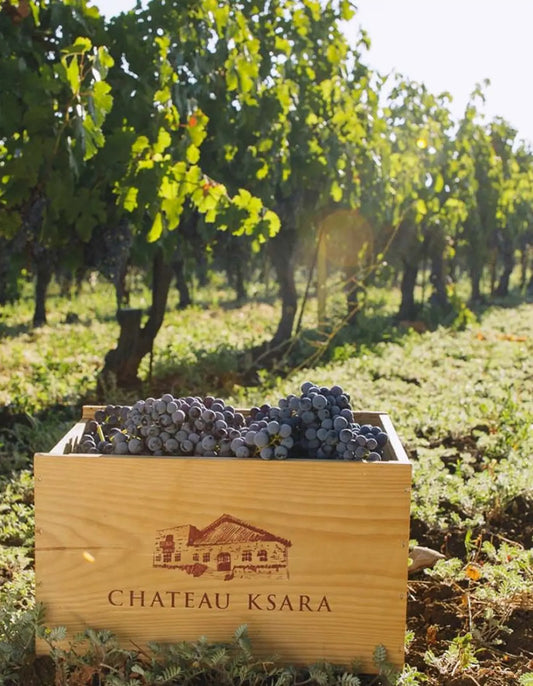Château Ksara Blanc de Blancs 2023 Raravina